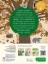 Buchcover und Innenansicht für das Buch: Naturforscher-Kids - Stickerheft Im Wald