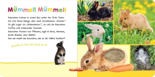 Buchcover und Innenansicht für das Buch: Hör mal rein, wer kann das sein? - Im Frühling