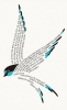 Buchcover und Innenansicht für das Buch: One Swallow Does Not Make a Summer