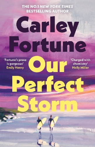 Buchcover und Innenansicht für das Buch: Our Perfect Storm