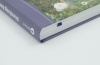 Buchcover und Innenansicht für das Buch: Streifzug durch den Garten