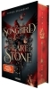 Buchcover und Innenansicht für das Buch: The Songbird and the Heart of Stone