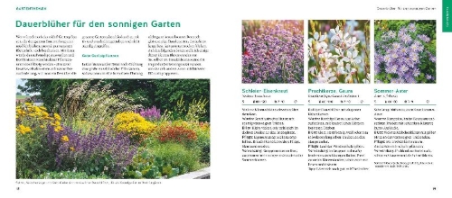 Buchcover und Innenansicht für das Buch: Quickfinder Welche Pflanze passt wohin?