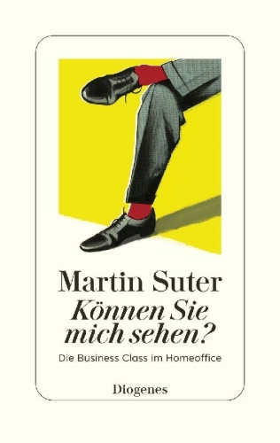 Buchcover und Innenansicht für das Buch: Können Sie mich sehen?