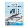 Buchcover und Innenansicht für das Buch: Trötsch Kinderbuch Das großartige Buch der Wale| Ab 8 Jahren