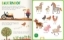 Buchcover und Innenansicht für das Buch: Mein kunterbuntes Soundbuch - Tiere