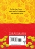 Buchcover und Innenansicht für das Buch: Little Women