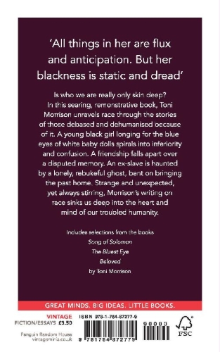 Buchcover und Innenansicht für das Buch: Race