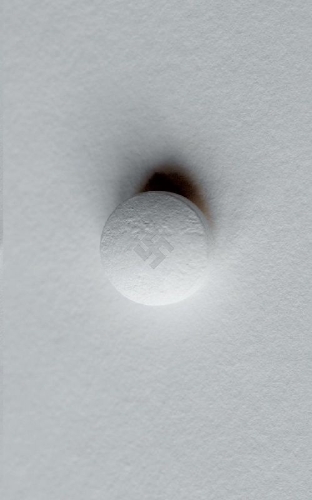 Buchcover und Innenansicht für das Buch: Der totale Rausch