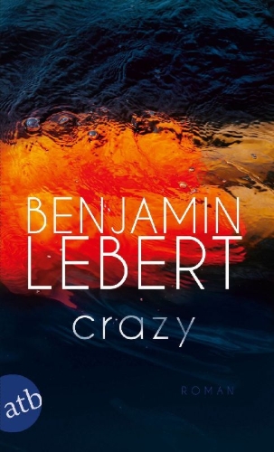 Buchcover und Innenansicht für das Buch: Crazy