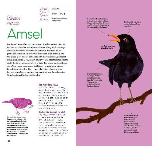 Buchcover und Innenansicht für das Buch: Oiseaux à reconnaître
