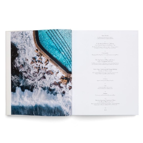 Buchcover und Innenansicht für das Buch: The Nature of Swimming (Updated Edition)