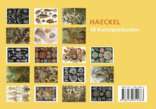 Buchcover und Innenansicht für das Buch: Postkarten-Set Ernst Haeckel