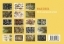 Buchcover und Innenansicht für das Buch: Postkarten-Set Ernst Haeckel