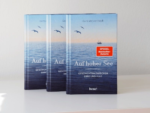 Buchcover und Innenansicht für das Buch: Auf hoher See