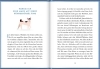 Buchcover und Innenansicht für das Buch: Von Katzen und ihren Dosenöffnern