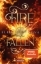Buchcover und Innenansicht für das Buch: Fire Falling