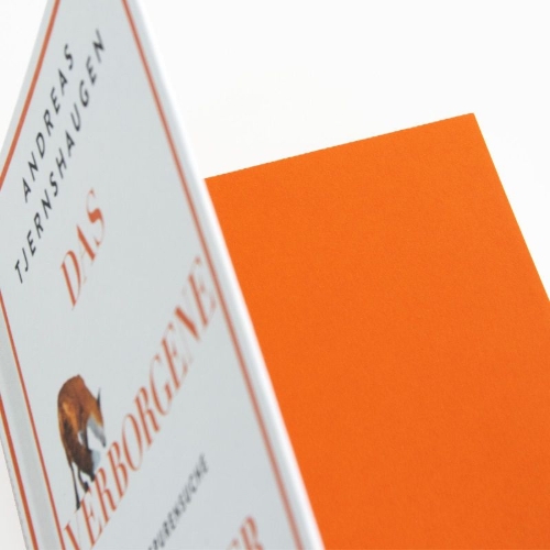 Buchcover und Innenansicht für das Buch: Reveb