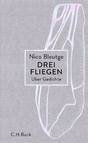 Buchcover und Innenansicht für das Buch: Drei Fliegen