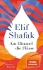 Buchcover und Innenansicht für das Buch: THERE ARE RIVERS IN THE SKY