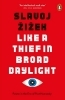 Buchcover und Innenansicht für das Buch: Like A Thief In Broad Daylight