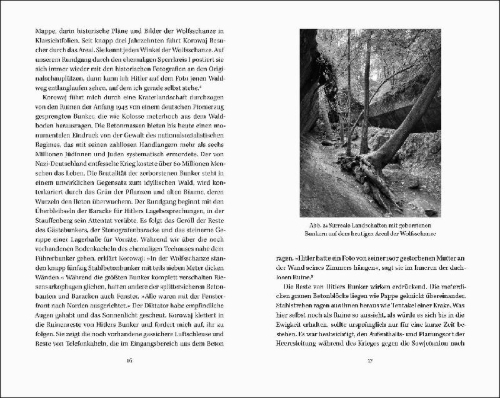 Buchcover und Innenansicht für das Buch: Vor dem Untergang