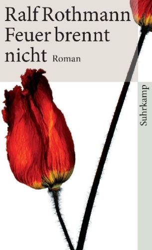 Buchcover und Innenansicht für das Buch: Feuer brennt nicht