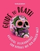 Buchcover und Innenansicht für das Buch: LONELY PLANET Bildband Guide to Death