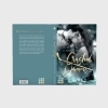 Buchcover und Innenansicht für das Buch: Crashed Dreams. Hailey & Noah