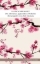 Buchcover und Innenansicht für das Buch: Zauber des Haiku