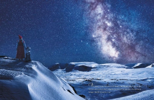 Buchcover und Innenansicht für das Buch: The Polarbear Wish