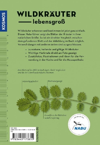 Buchcover und Innenansicht für das Buch: Wildkräuter am Blatt erkennen