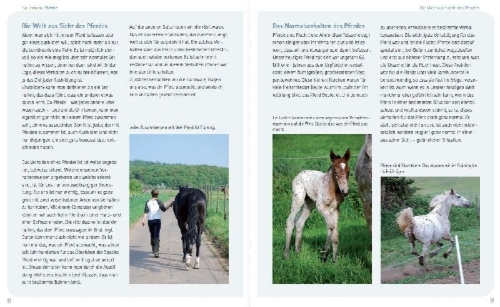 Buchcover und Innenansicht für das Buch: So lernen Pferde