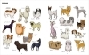 Buchcover und Innenansicht für das Buch: Big Dogs, Little Dogs