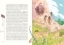 Buchcover und Innenansicht für das Buch: Kidstory