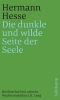 Buchcover und Innenansicht für das Buch: 'Die dunkle und wilde Seite der Seele'