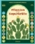 Buchcover und Innenansicht für das Buch: Superpoderes de las Plantas