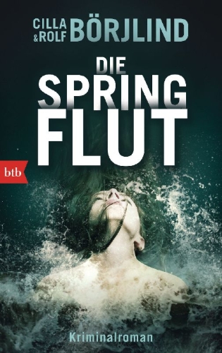 Buchcover und Innenansicht für das Buch: Springfloden
