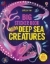 Buchcover und Innenansicht für das Buch: Big Sticker Book Weird Deep Sea Creatures