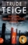 Buchcover und Innenansicht für das Buch: Aldri tilgi