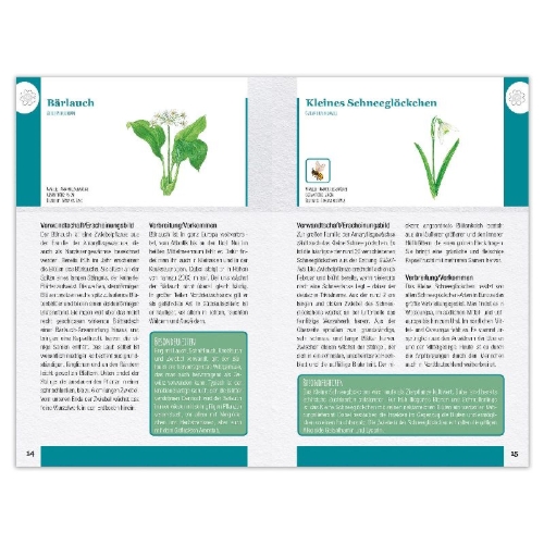 Buchcover und Innenansicht für das Buch: Wildblumen und Kräuter entdecken und bestimmen