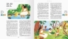 Buchcover und Innenansicht für das Buch: A World full of Ocean Stories