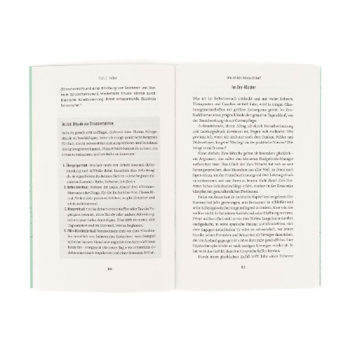 Buchcover und Innenansicht für das Buch: Glimmer