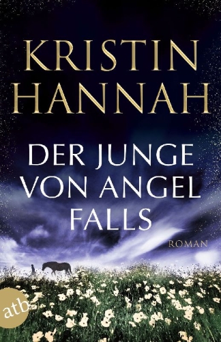Buchcover und Innenansicht für das Buch: Angel Falls