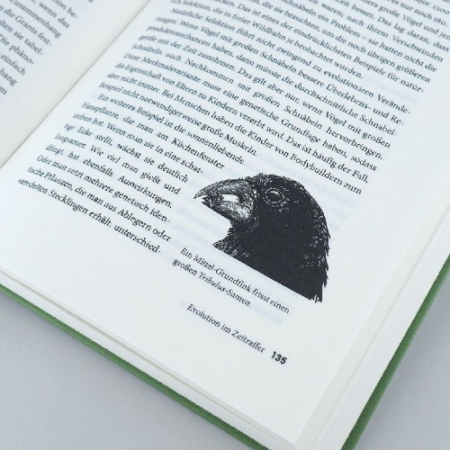 Buchcover und Innenansicht für das Buch: Improbable Destinies