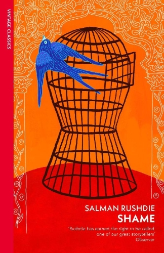 Buchcover und Innenansicht für das Buch: Shame