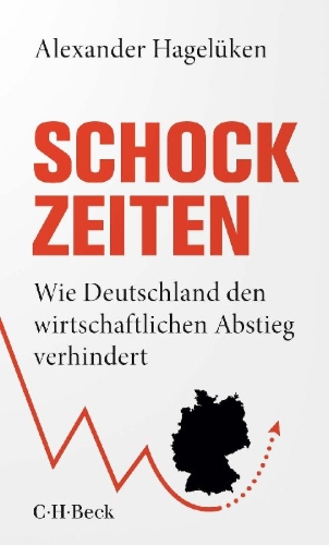 Buchcover und Innenansicht für das Buch: Schock-Zeiten