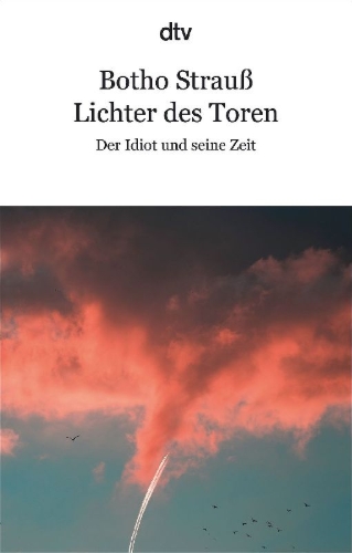 Buchcover und Innenansicht für das Buch: Lichter des Toren