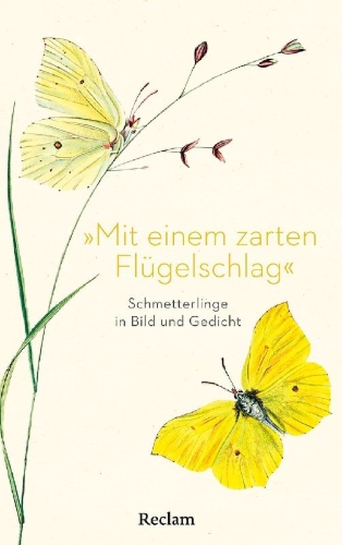 Buchcover und Innenansicht für das Buch: »Mit einem zarten Flügelschlag«