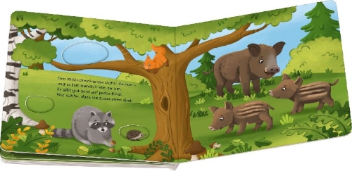 Buchcover und Innenansicht für das Buch: Rate mal: Wer sitzt im Wald?